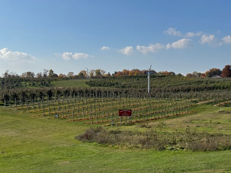 Orchard Country Surroundings That Make Everything Feel Better