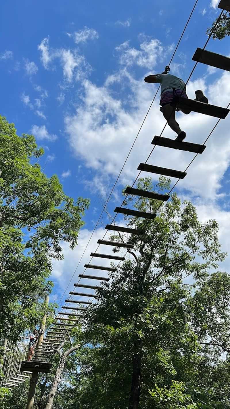 The Cape May County Park Setting That Makes It All Feel Wild