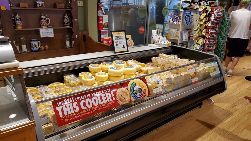 Cheese Case Browsing That Quickly Becomes A Full Lap