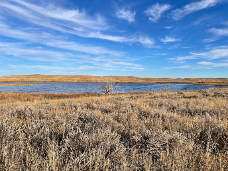 Sandhills Arrival That Feels Quiet Right Away