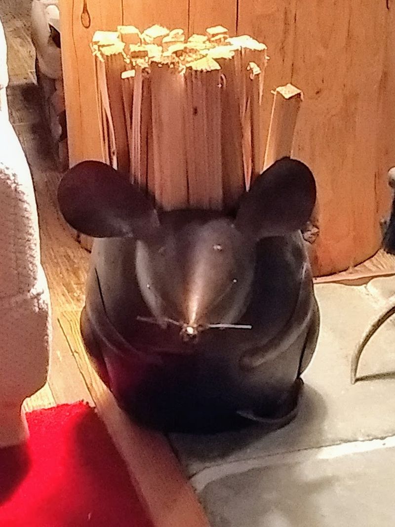 Stargazing Far Away From City Lights