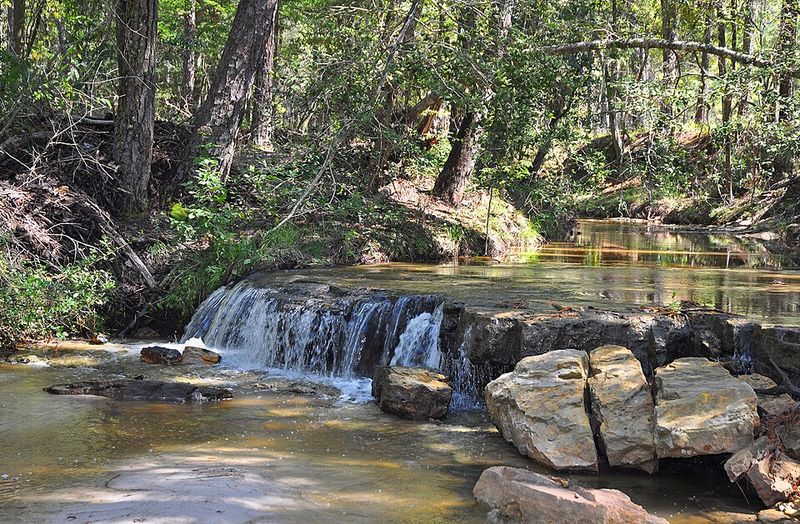 Boykin Creek Waterfall: The Fairytale Moment You Came For