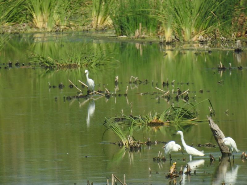 Over 350 Bird Species Call This Place Home