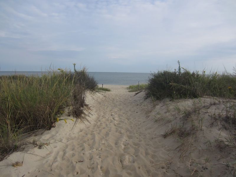 Arrive In Lewes And Feel The Delaware Bay Calm Right Away