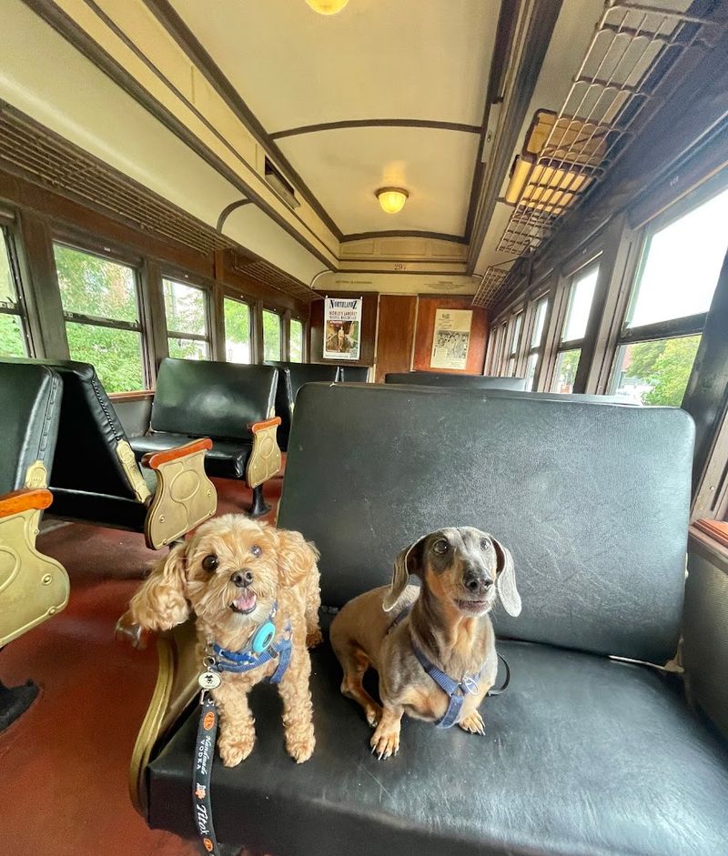 Planning Your Visit and What to Expect