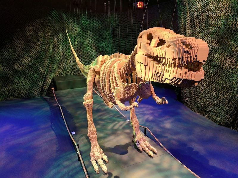 Rotating Special Exhibits That Always Bring Something New
