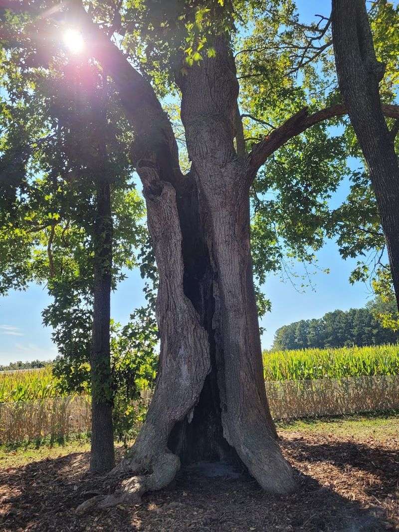 What Makes This Haunt Stand Out From Every Other Virginia Outdoor Experience