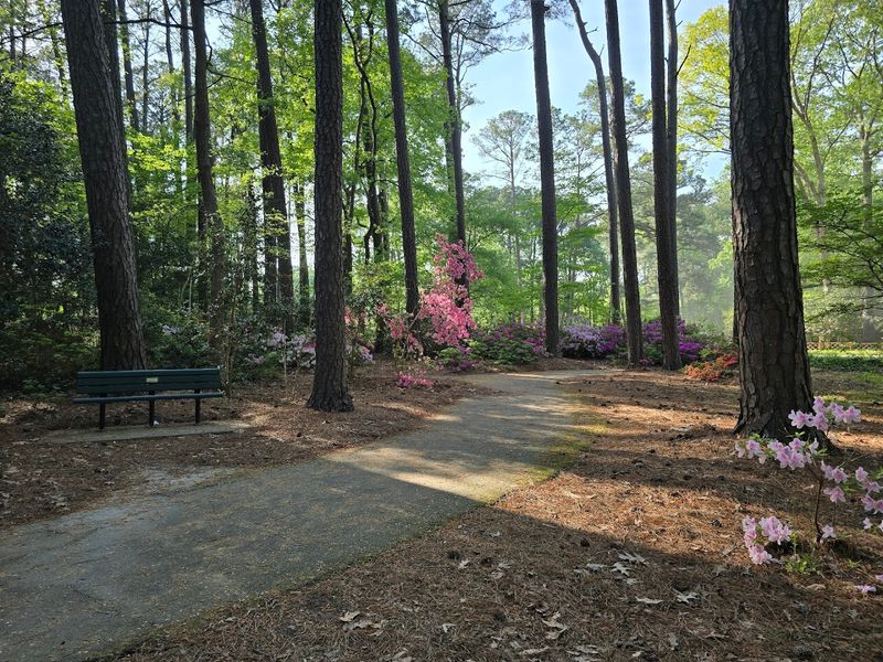 The Peaceful Walking Paths Designed for Slow, Mindful Movement