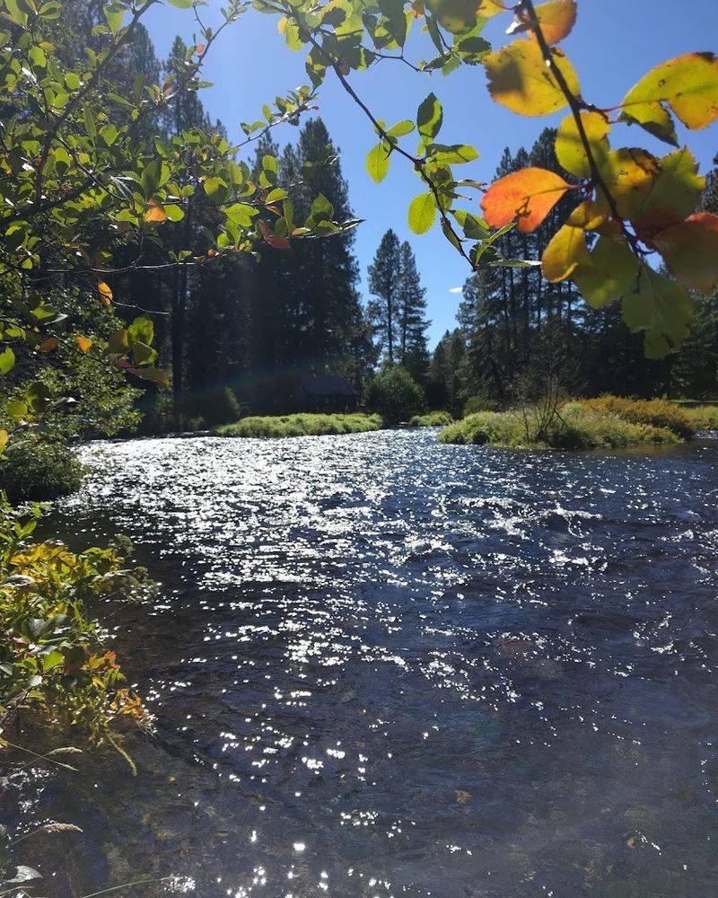 Fishing the Famous Metolius River