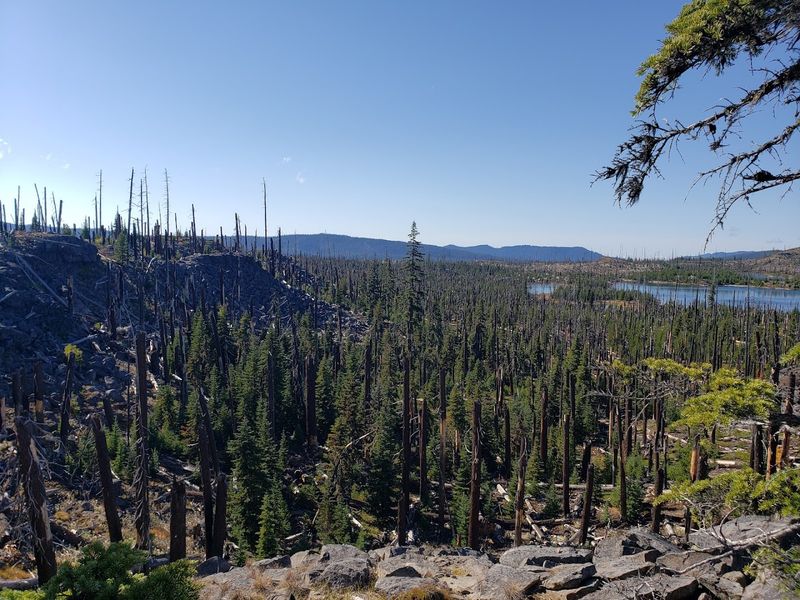 Getting There: The Drive Off Highway 58 Is Half the Adventure