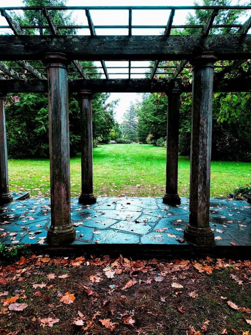 Winter Walks That Prove Dormancy Has Its Own Beauty