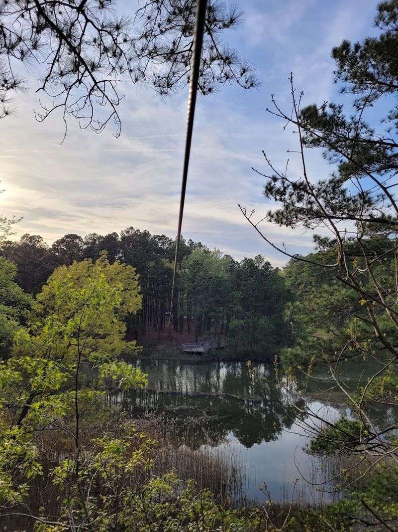 The Iconic Zip Line Over Owls Creek