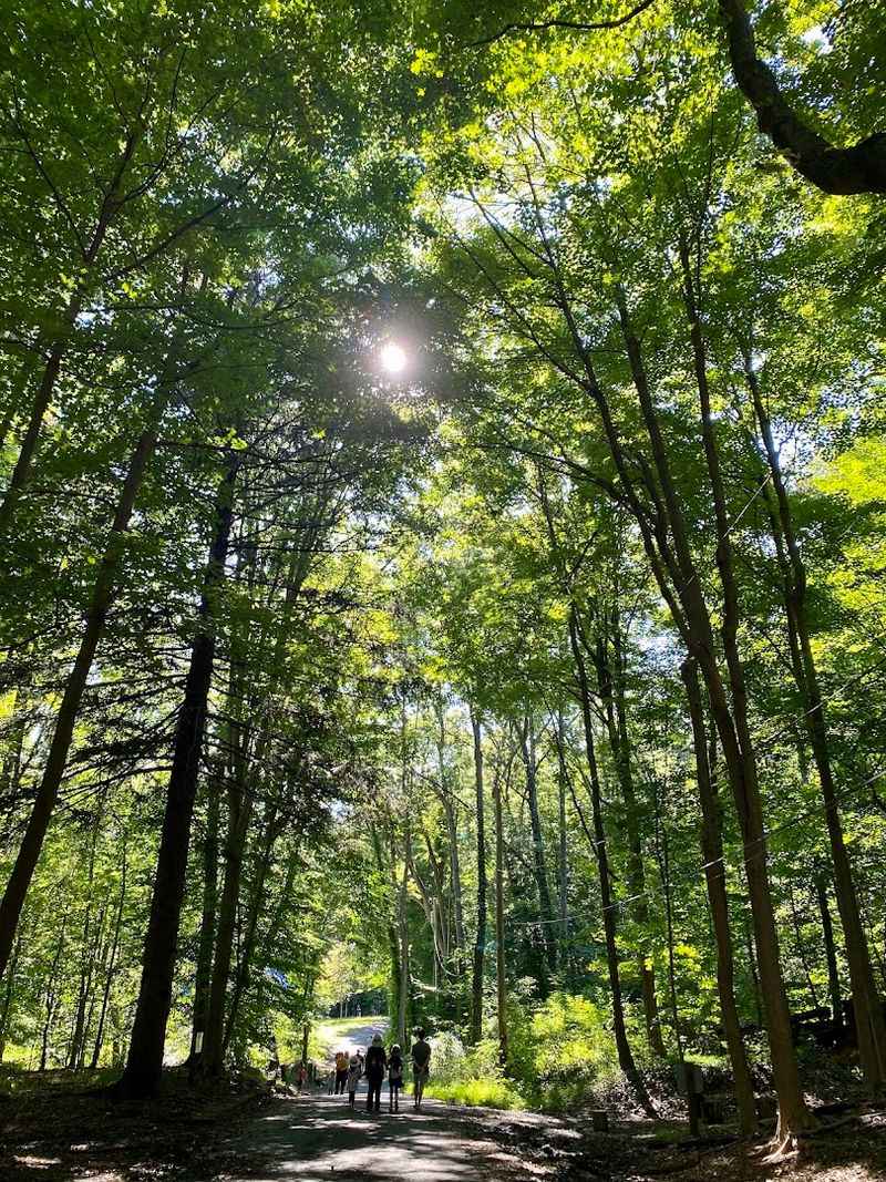 The Solar System Walk