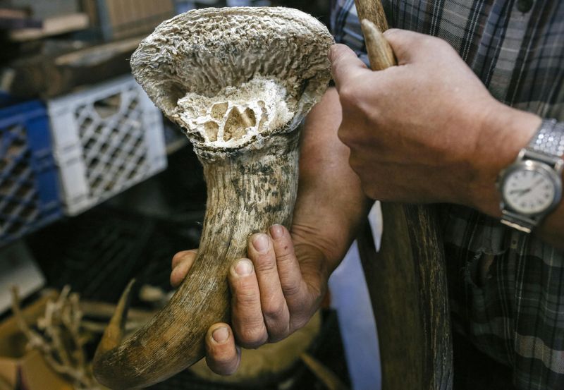 What “Collecting” Means In The Regulation, Even Searching Counts