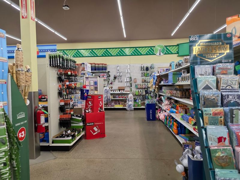 Shelves Are Always Stocked and Ready for Serious Shoppers