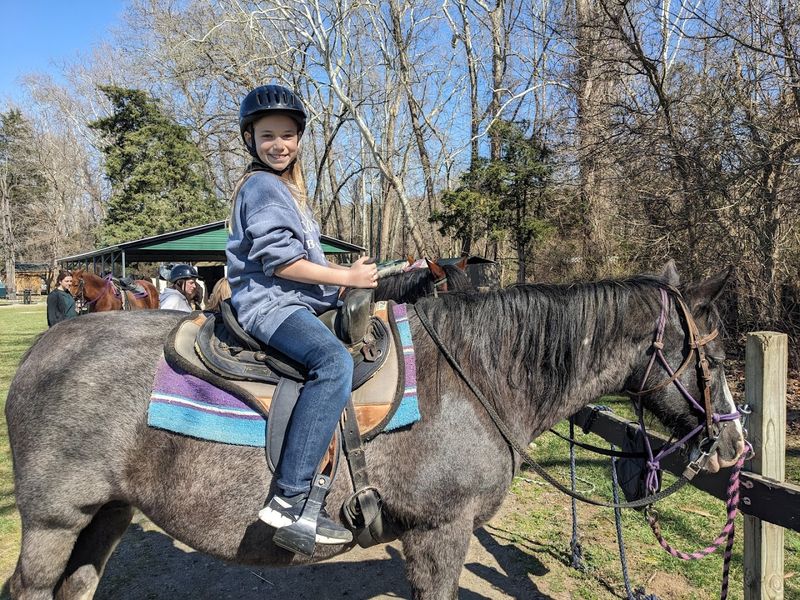 Perfect for First-Time Riders and Nervous Newcomers