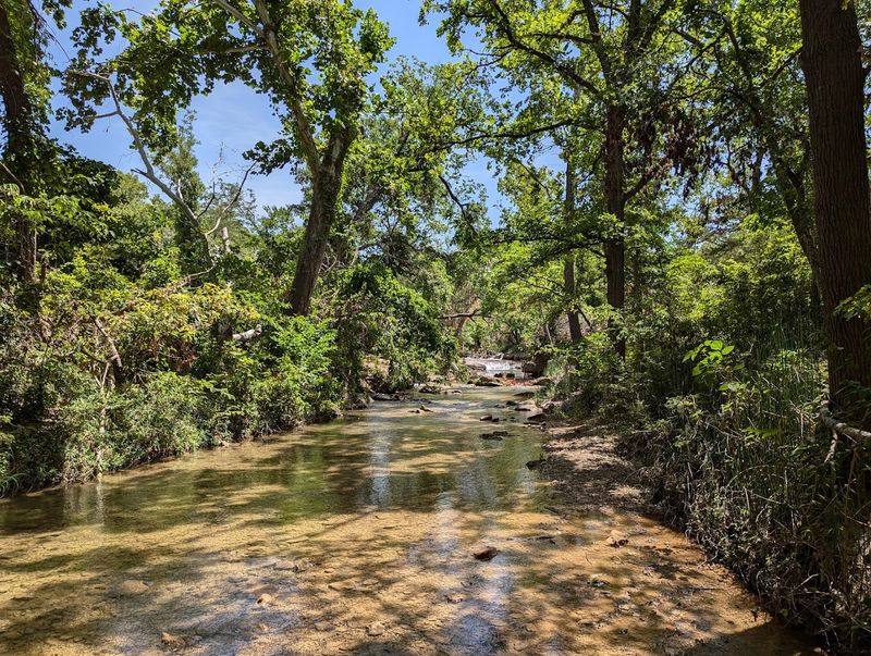 The Setting Makes Travertine Creek Unforgettable