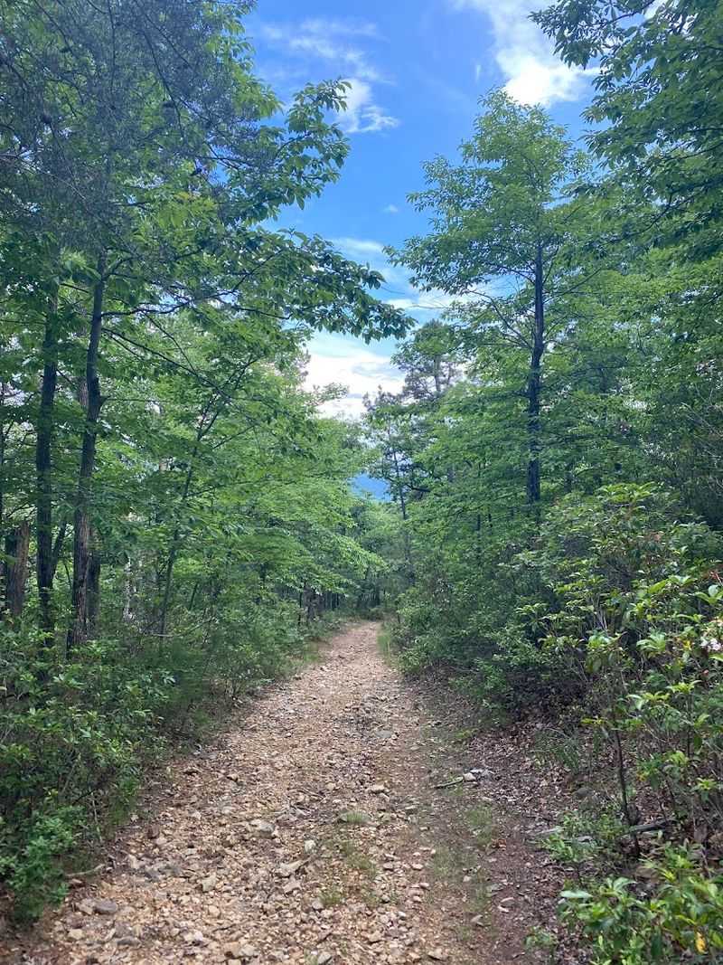 Starting Strong: The North Link Trail Entrance