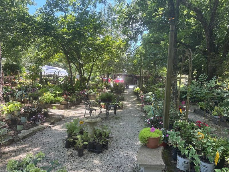 The Enchanting Garden and Greenhouse That Surrounds the Whole Experience