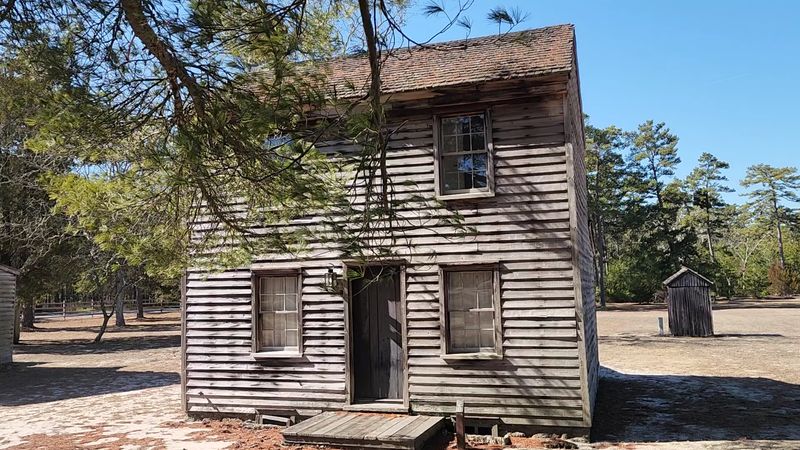Ghost Towns Hidden in the Trees