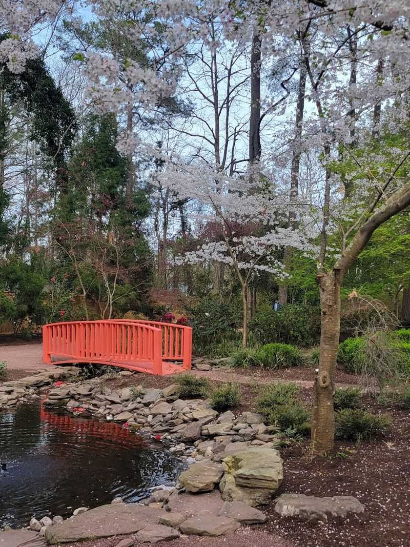 Planning Your Visit to 1398 General Booth Blvd, Virginia Beach