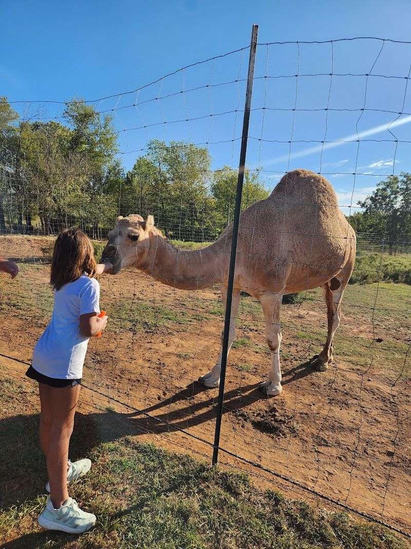 Feeding Time Is Where the Real Fun Happens