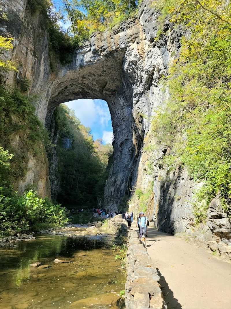 Thomas Jefferson's Connection: History Carved in Stone