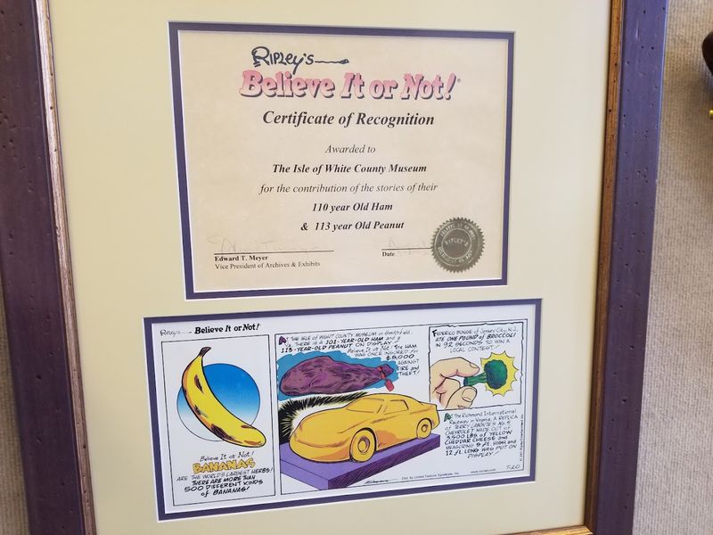 The World's Oldest Peanut on Display