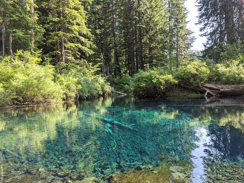 Swimming and Snorkeling in Glacially Cold Spring Water
