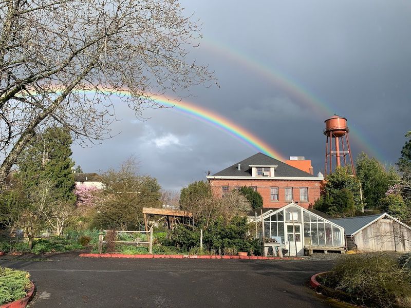 The Historic Grounds and Gardens