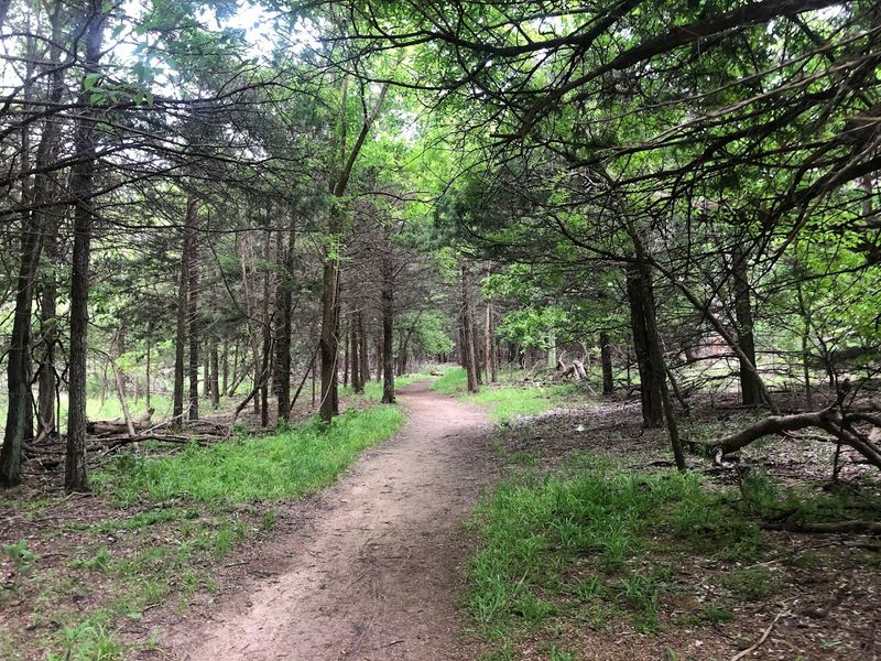 Hiking Trails Winding Through Surprisingly Green Terrain