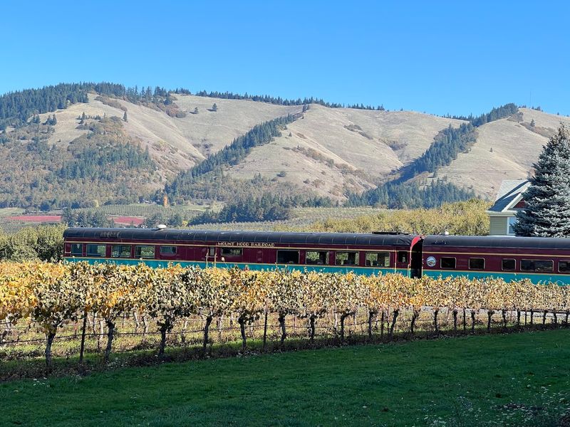 Seasonal Experiences That Keep Bringing People Back