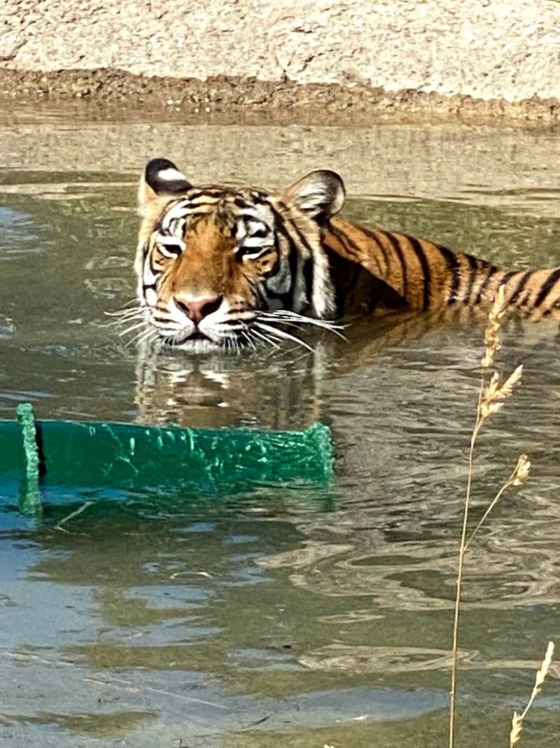 What to Expect When You Visit and How to Plan Ahead