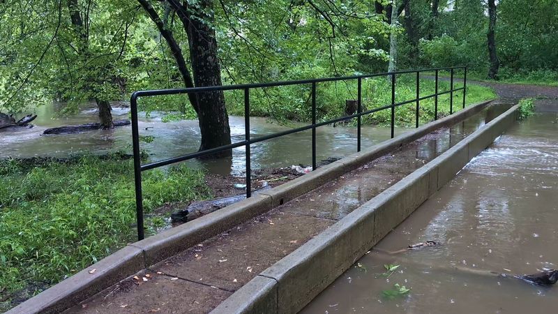 The Arrest That Ended Two Decades of Betrayal