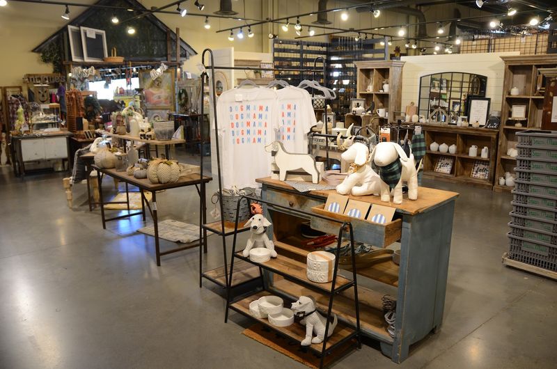 Seasonal Events That Make Every Visit Feel Fresh and Festive