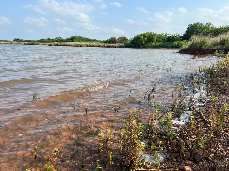 What the Exposed Creek Beds Actually Look Like Up Close