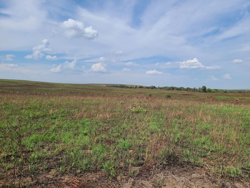 What the Prairie Actually Looks Like