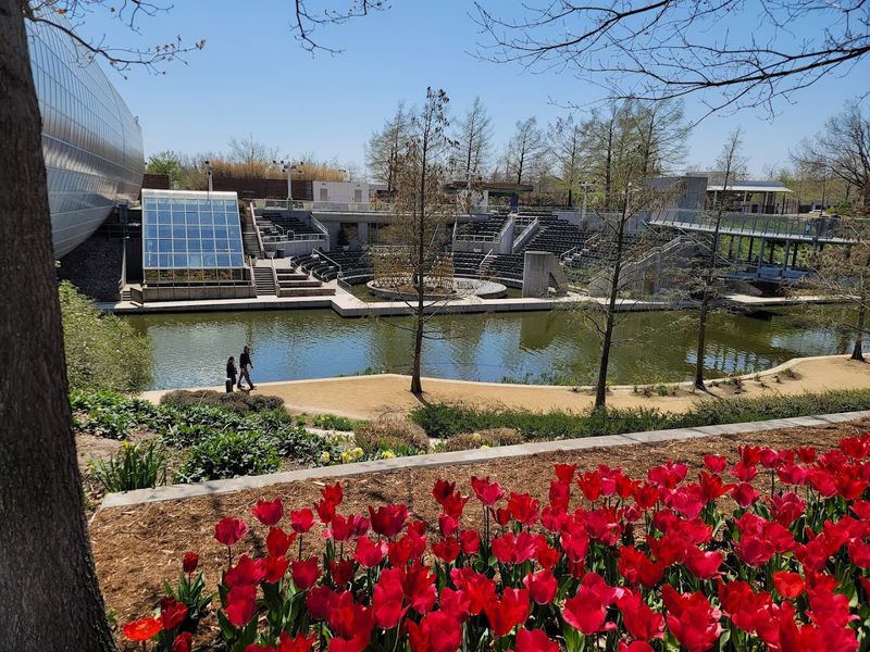 What the Tulip Fields Actually Look Like Up Close