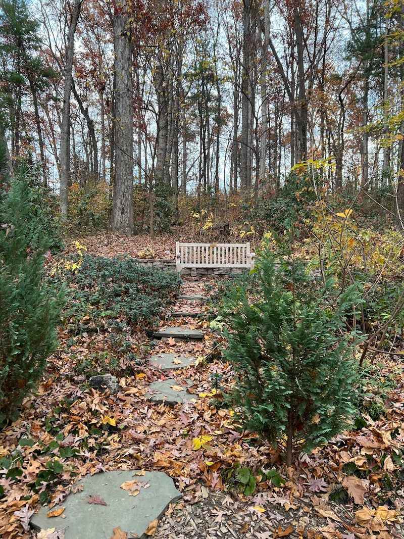 The Labyrinth: A Meditative Walk You Will Not Want to Rush