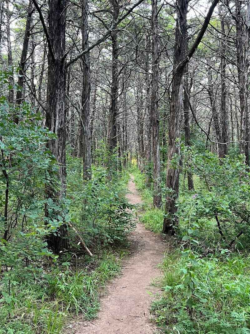 Getting Lost Here Is Part of the Adventure