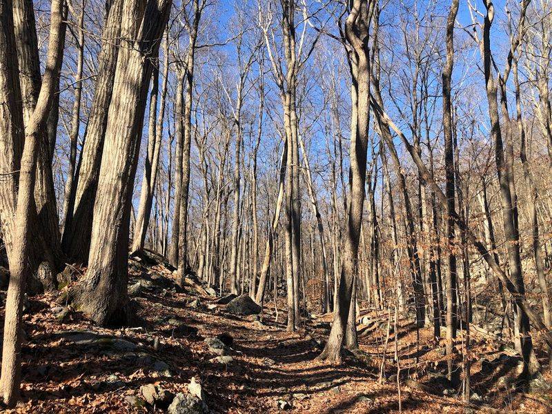 Mountain Biking Trails That Actually Deliver