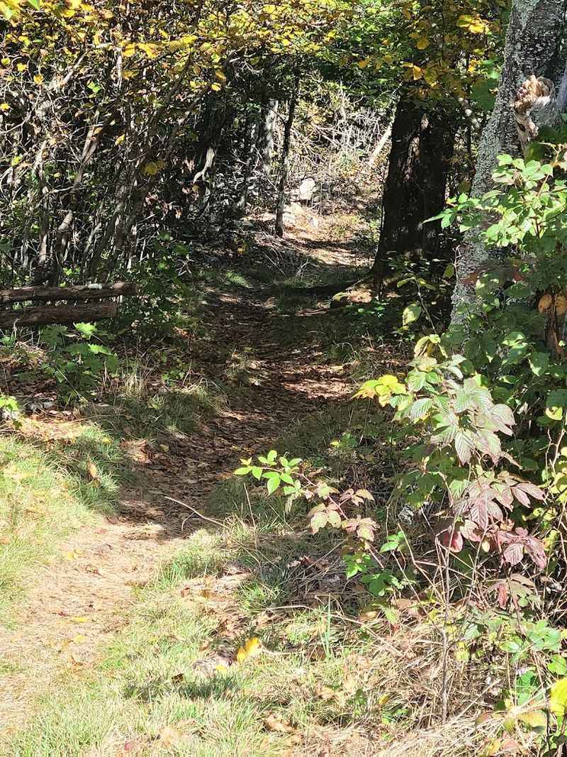 Punchbowl Shelter: Where the Creepiness Gets Real