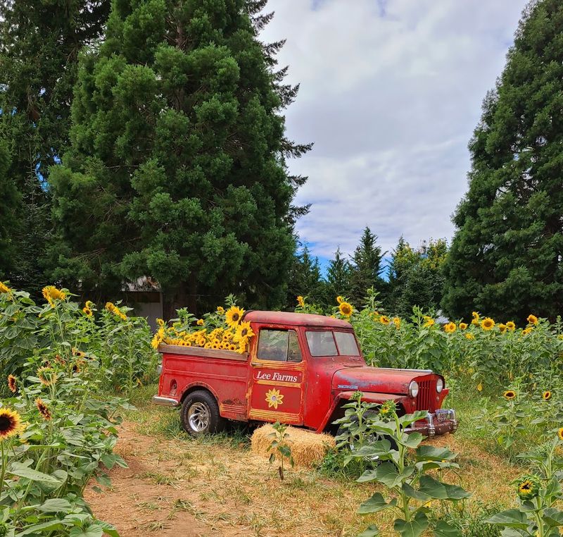 A Farm With Deep Roots in Oregon History