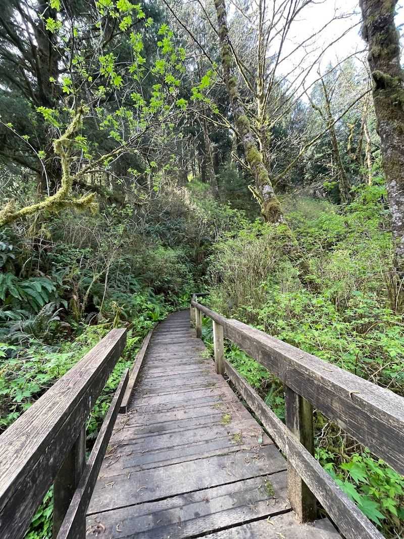 Flora, Fauna, and Forest: What You Notice Along the Way