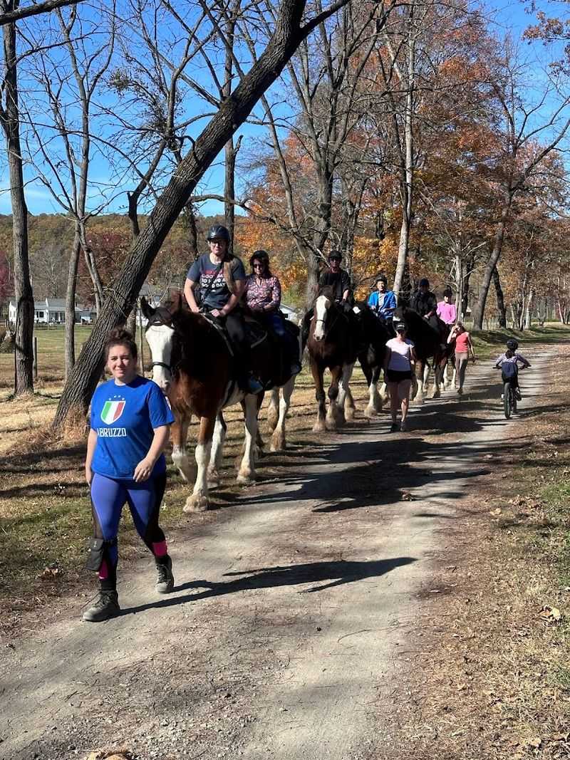 Cycling, Horses, and Multi-Use Trail Culture