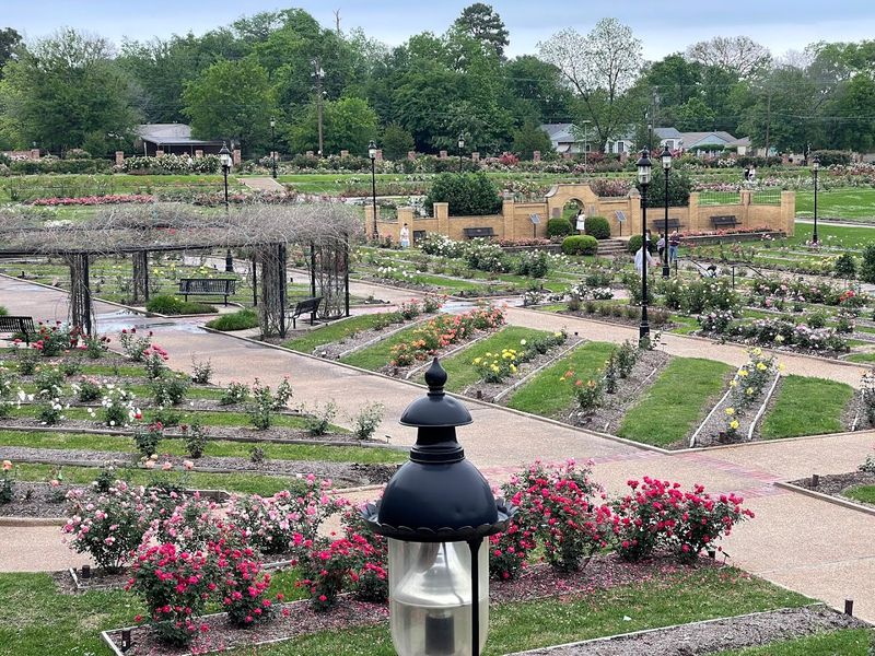 The Sheer Scale of the Garden