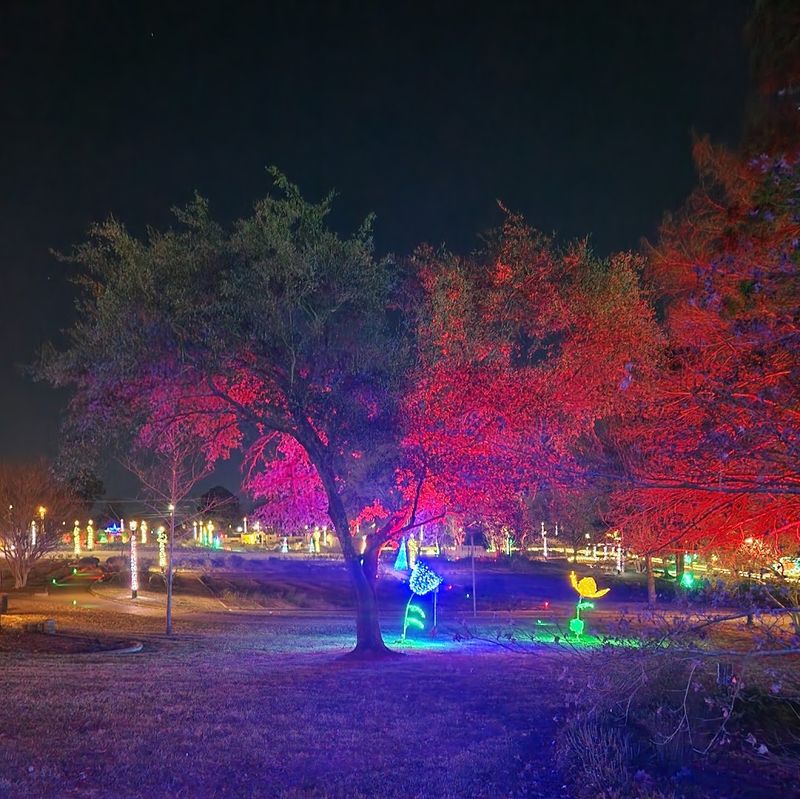 Holiday Lights in the Garden Each December
