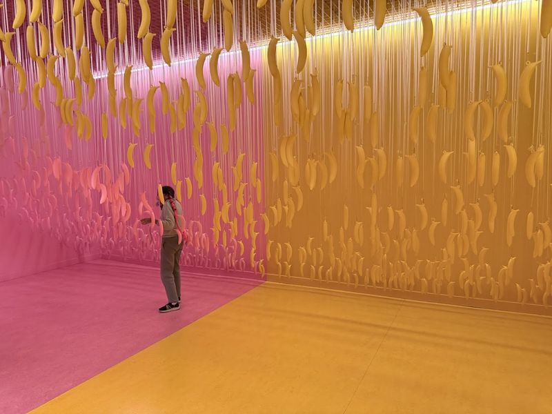 Interactive Art Installations