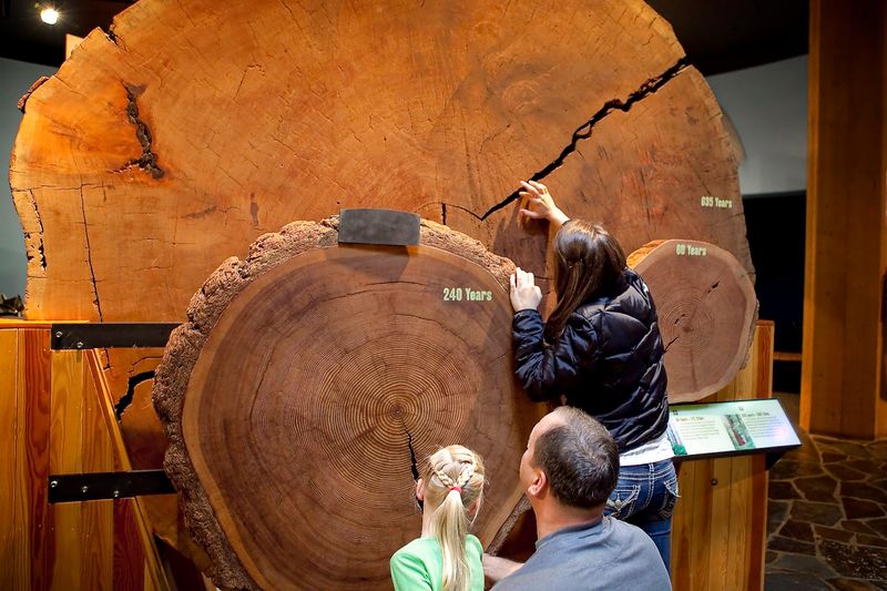 Interactive Exhibits That Actually Teach You Something