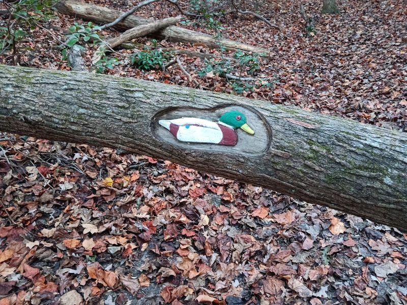 Visiting Year-Round: What Each Season Offers